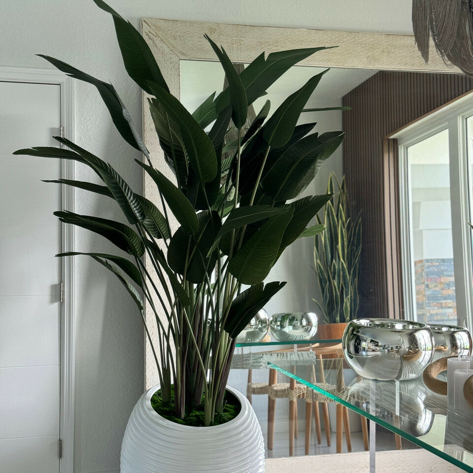Bird of Paradise Plant in White Spiral Vase