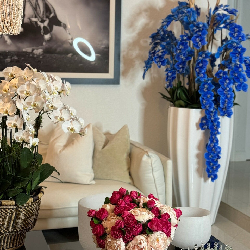 Alocasia 'Red Prince' in XL Ben Plant Pot – Glossy White