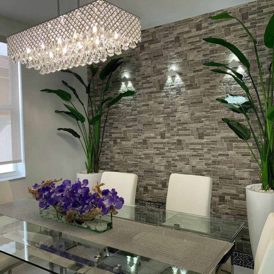 2.1 m Bird of Paradise Plant with Dax L Pot