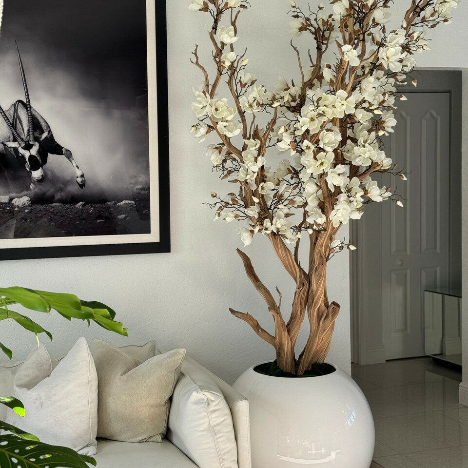 White Magnolia Tree in 126 cm Shiny White Globe Pot
